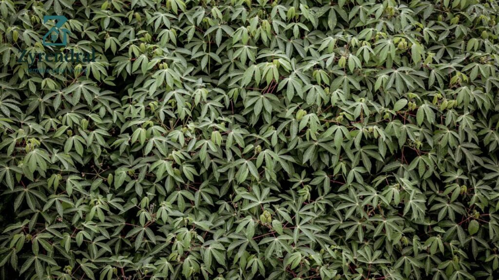 Durable Sulzer Landscape Fabric for Superior Weed Control Buy Now
