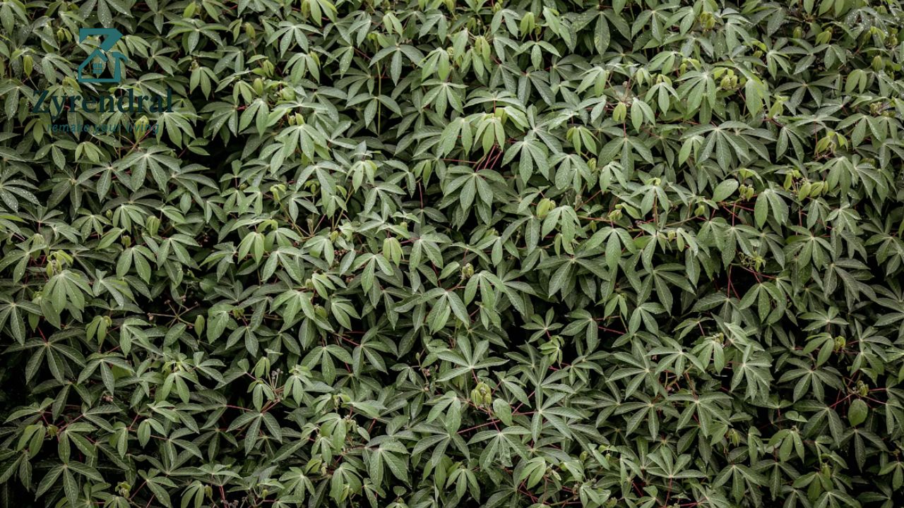 Durable Sulzer Landscape Fabric for Superior Weed Control Buy Now