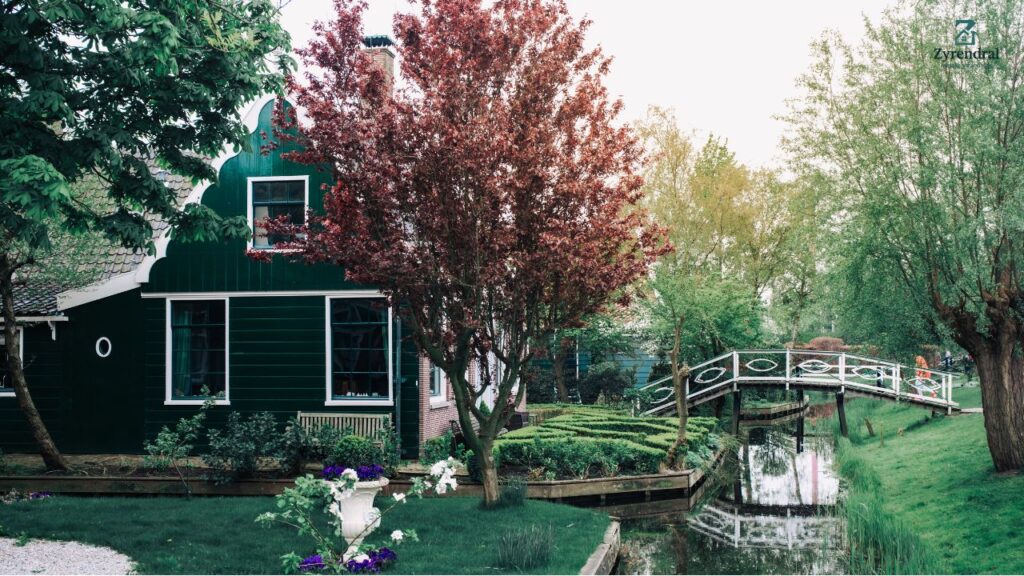 Springtime House