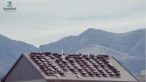 Cop on the Roof Shocking Story You Can't Miss