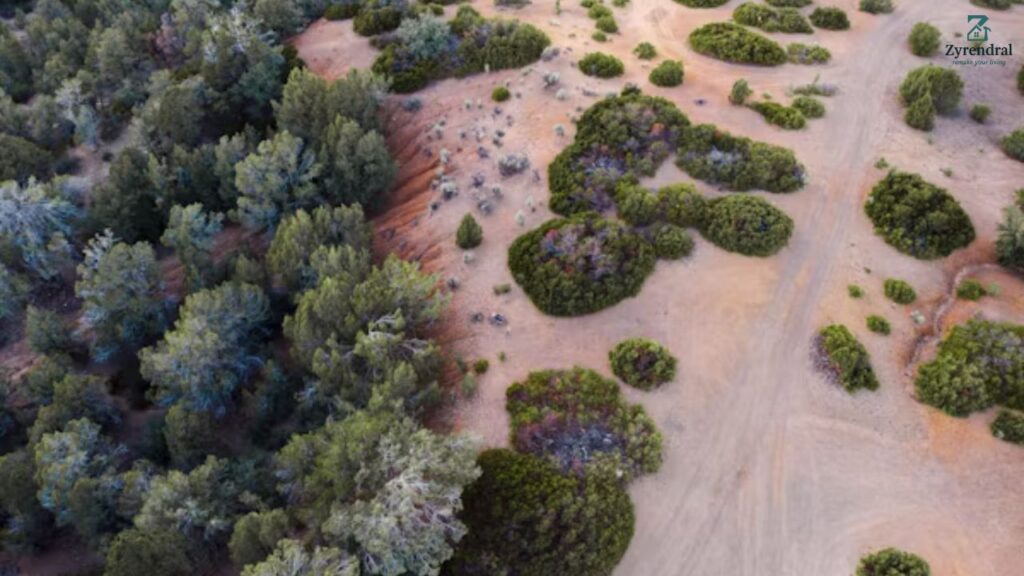 Inexpensive Desert Landscaping Ideas