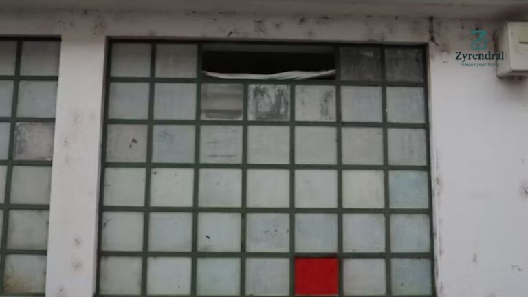 Conquer the Bay Window Crossword