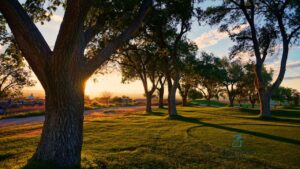 Montecito Country Club Landscaping Easement Dispute Key Insights & Solutions