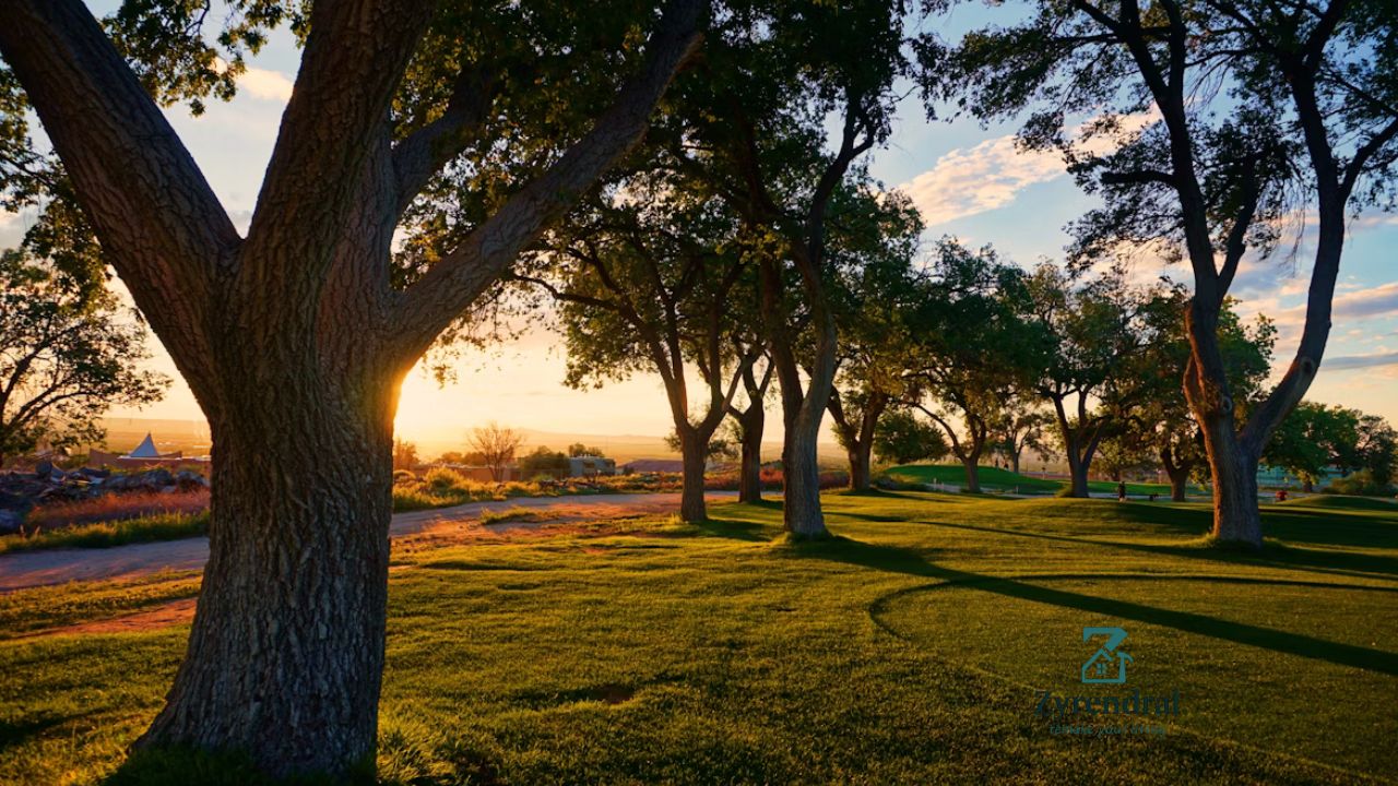 Montecito Country Club Landscaping Easement Dispute Key Insights & Solutions