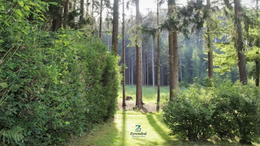 NAICS Code for Landscaping