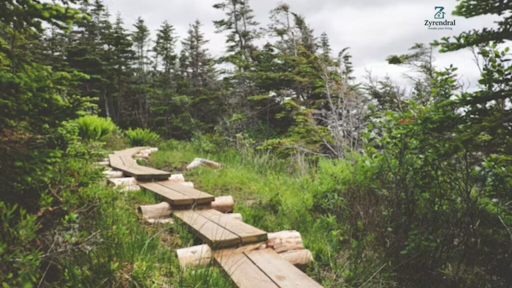 Stunning Maine Landscape