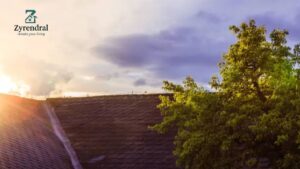 Summer Roofing Problems Signs Your Roof Is Struggling in the Heat