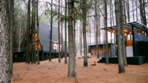 Atlanta Landscape Materials in Doraville