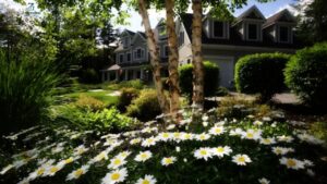 Sunshine Landscaping