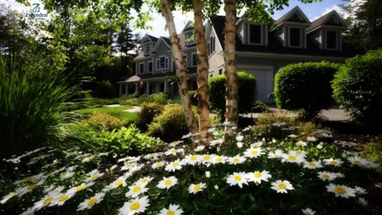 Sunshine Landscaping