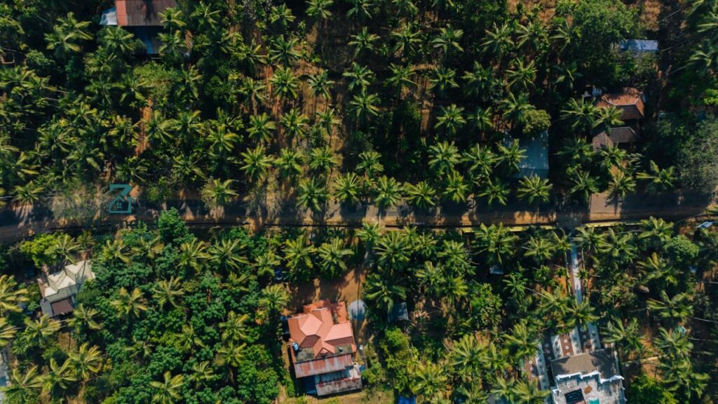 What Is the Montecito Country Club Landscaping Easement Dispute
