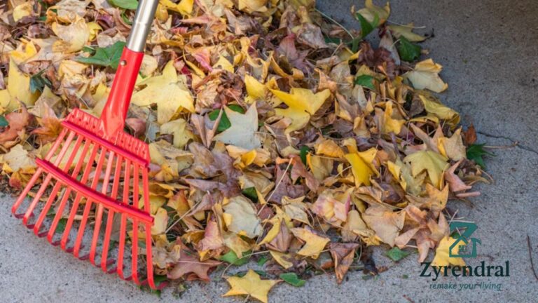 Seasonal Maintenance Checklist Preparing Your Basement for Fall and Winter